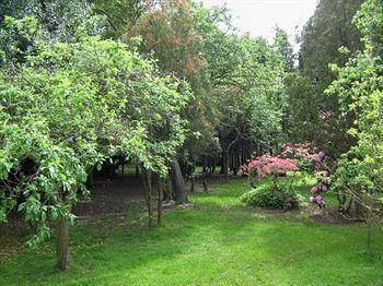 Foxwood Guest House Robin Hood Exterior foto
